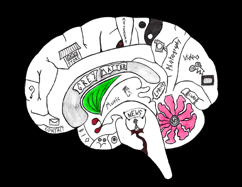 Brain Image